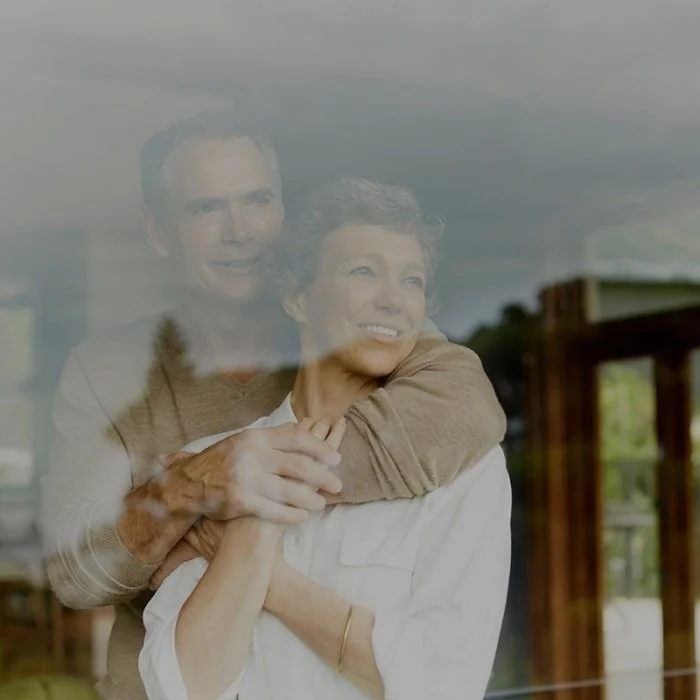 Folie Solara Silver Dark-Folie Pentru Cladiri