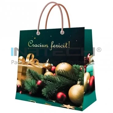 Pungi Pentru Cadouri, Personalizate, Aspect Lucios, 190 g/mp Plastifiere Lucioasa, Dimensiuni mm (L × l × h) 150 x 260 x 85, Tip Maner Snur, Gramaj 190 gr/mp