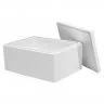 Cutii Termoizolante EPS Pentru Transport Dimensiune Interioara 1076.5 x 320 x 305 mm, Grosime Perete 25 mm, Material EPS, Vol...
