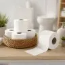 Тоалетна хартия Хорека, бяла, 3 слоя, 16 ролки/кутия, 3 слоя, материал целулоза, цвят бял, без аромат, брой парчета/кутия 16