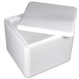 Cutii Termoizolante EPS Pentru Transport-Ambalaje Termoizolante