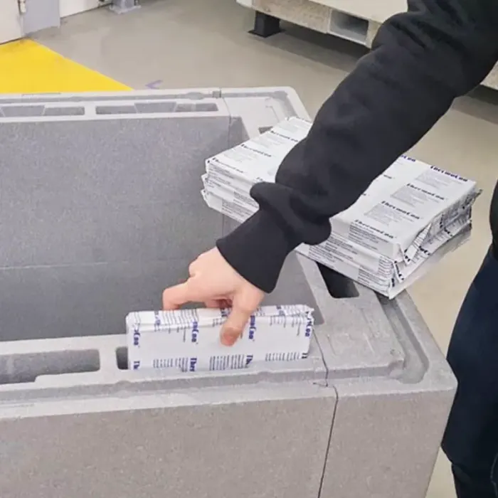 Rezerve De Racire Foam Bricks-Ambalaje Termoizolante Cu Temperatura Controlata
