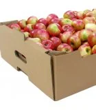 Кашонени кутии